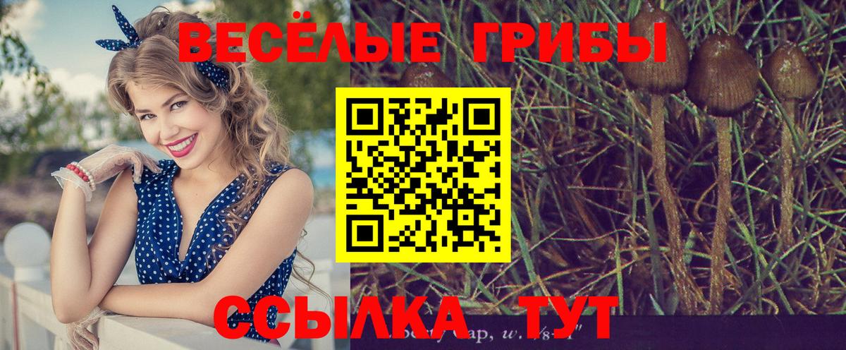 Псилоцибиновые грибы прущие грибы  Вход с VPN  Долгопрудный 