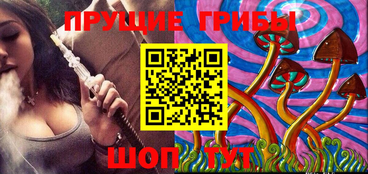Псилоцибиновые грибы Psilocybine cubensis Долгопрудный